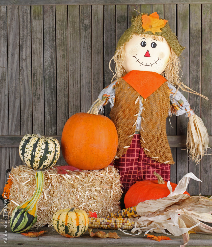 Fototapeta premium Fall Harvest