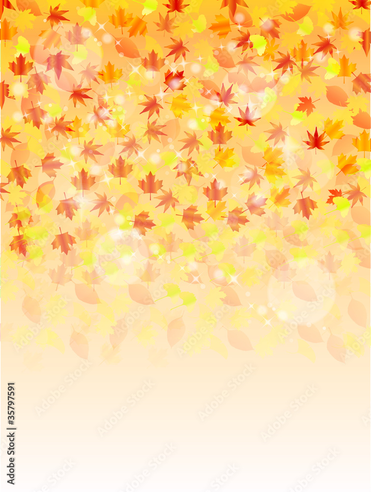 Autumn background Autumn background