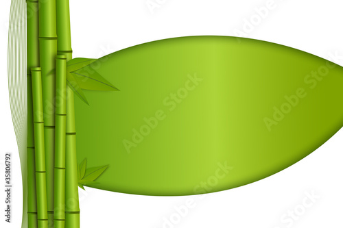 bamboo background with empty space for text