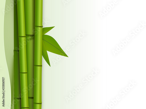 bamboo background with empty space on the right