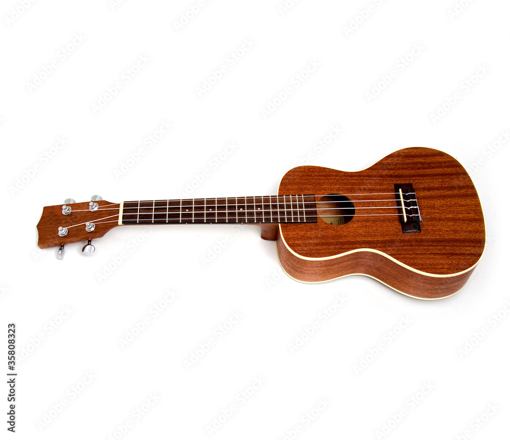 Obraz premium Ukulele