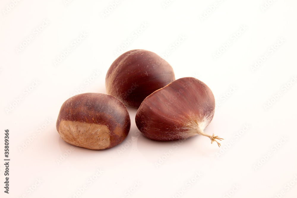 Obraz premium Châtaignes
