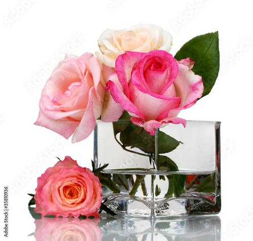 Beautiful roses in transparent vase isolated on white