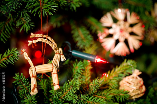 Obraz na płótnie Julbock