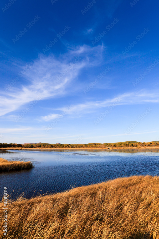 lake and wetland at autumn