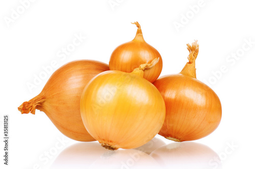 Wallpaper Mural Fresh onion Torontodigital.ca