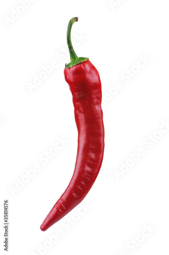 Hot pepper