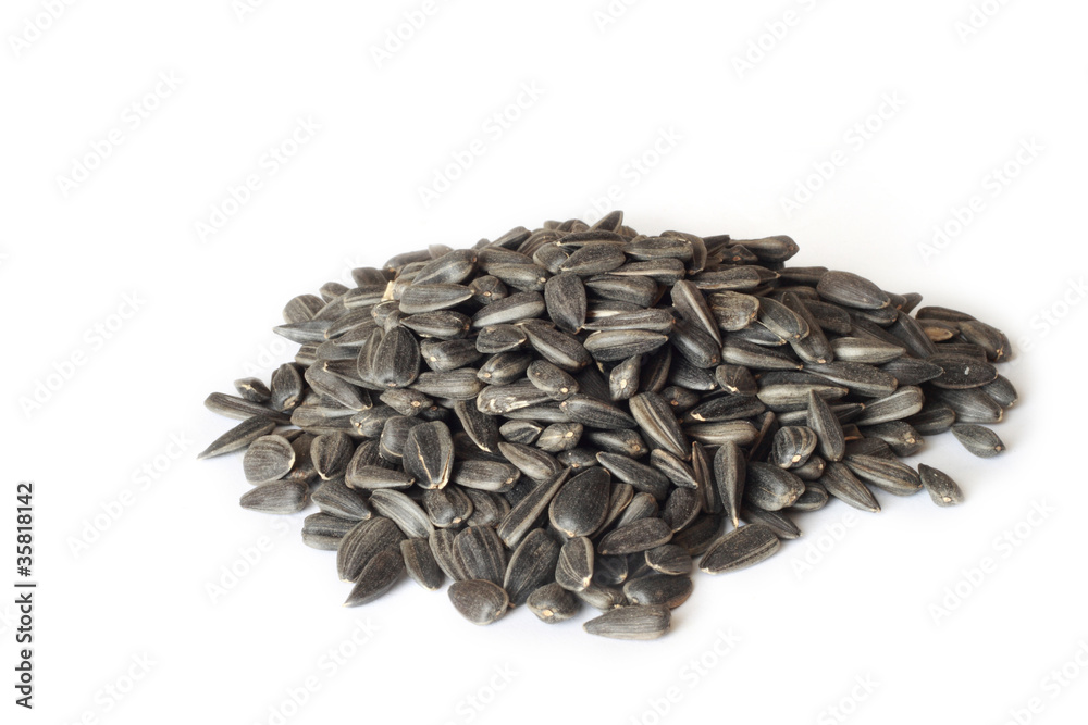 sunflower seeds sunflower seeds
