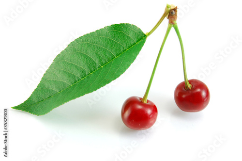 Cherries on white background