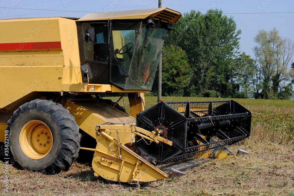 yellow combine harvester in a soy field