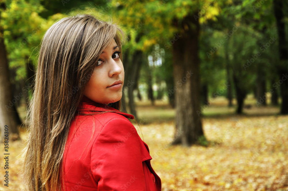 girl in the autumnal park girl in the autumnal park