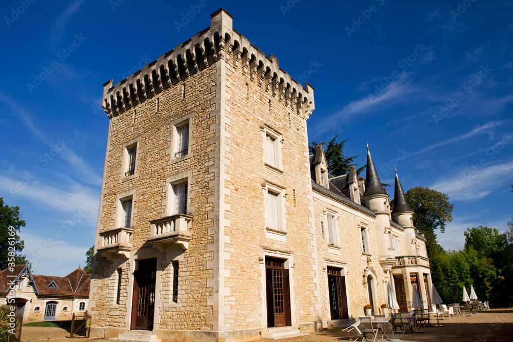 Castle in the French Charente