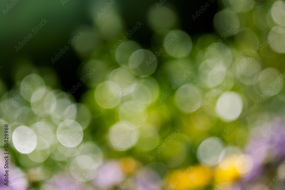 natural bokeh background natural bokeh background