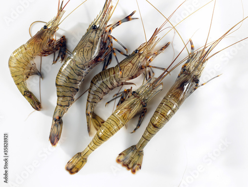 Fototapeta Naklejka Na Ścianę i Meble -  Crevettes bouquet détourables
