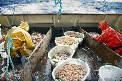 Pêche de langoustines en mer