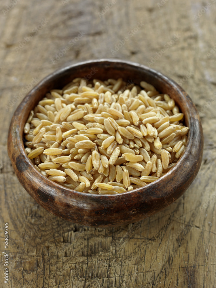 Grains de kamut Grains de kamut