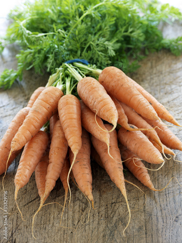 Botte de carottes biologiques