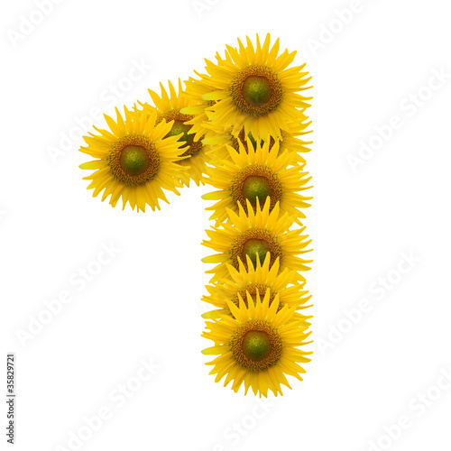 1  Sun flower alphabet isolated on white