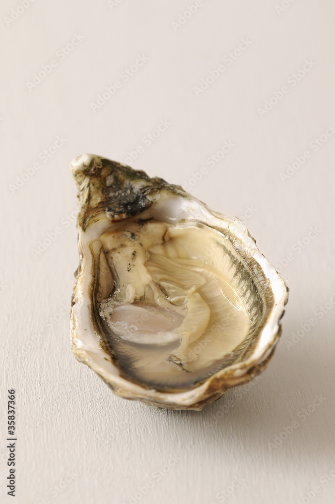Huître Huître
