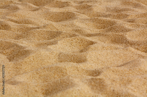 Gold Beach Sand