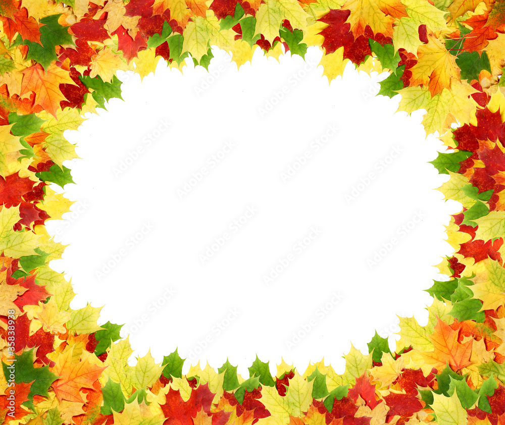leaves leaves