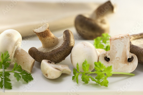 Fototapeta Naklejka Na Ścianę i Meble -  Champignons de paris