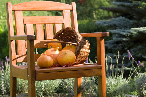 Pumpkins on chair