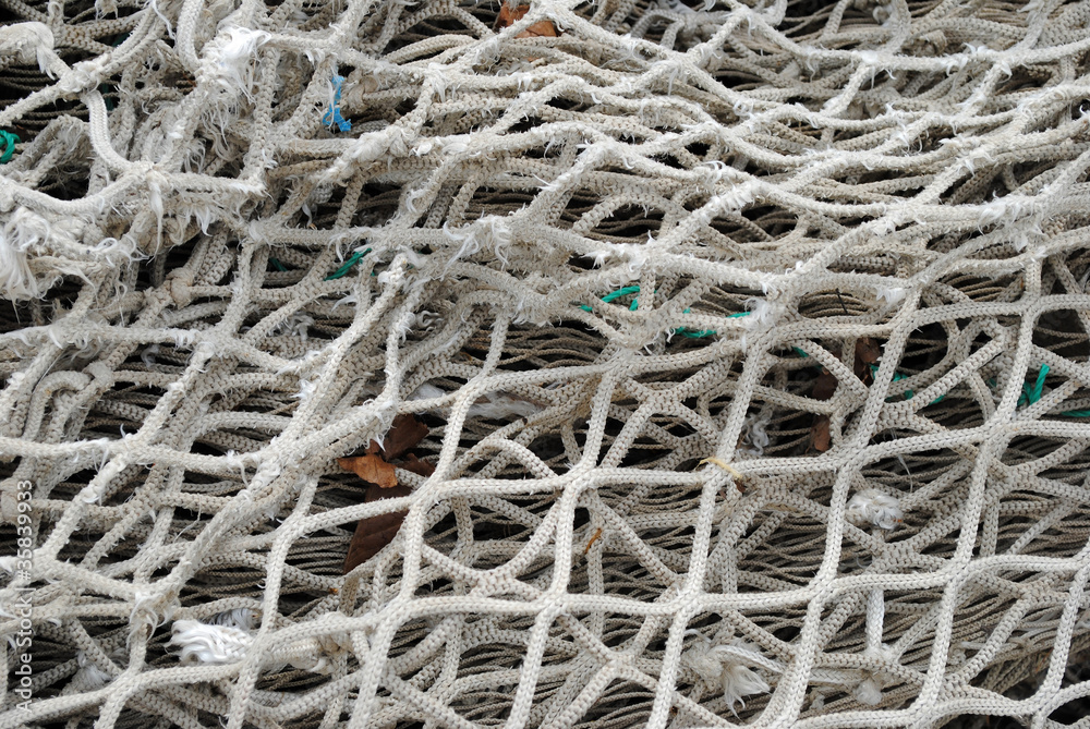 net for fishing