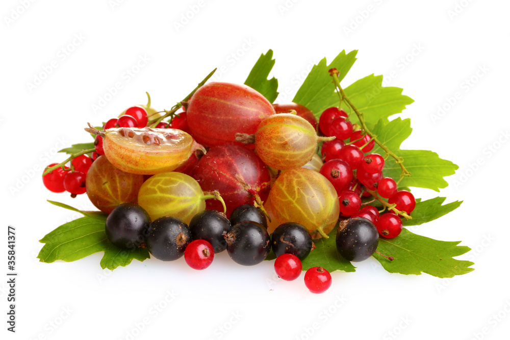 Fresh delicious summer berries isolated on white Fresh delicious summer berries isolated on white