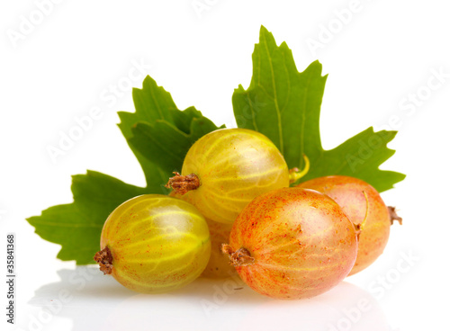 fresh gooseberries and leaves isolated on white