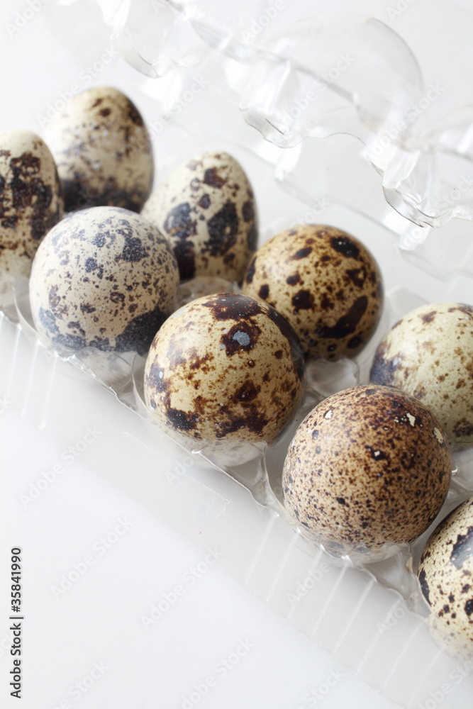 Obraz premium うずらの卵