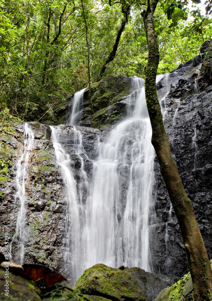 Fototapeta premium Waterfall on a stream in a tropcial forest in Tahiti
