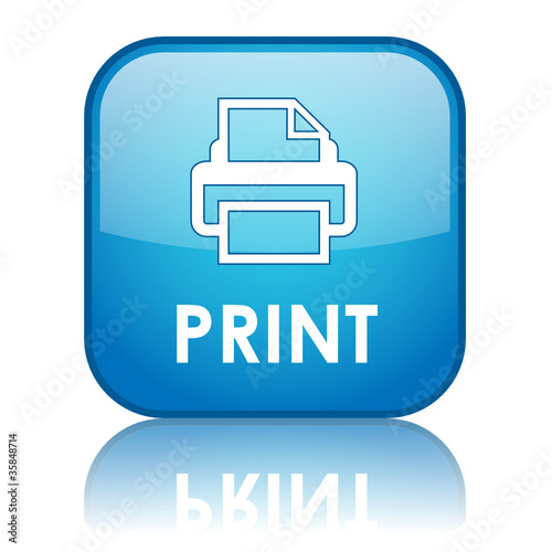 "PRINT" Web Button (printer printout now laser documents online)