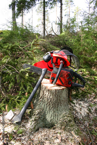 Logger equipment in forest
