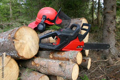 Logger equipment with cut trees photo