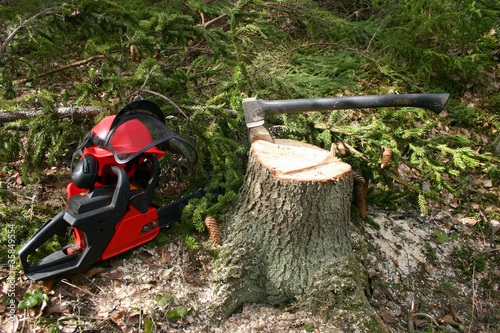 Logger equipment in forest