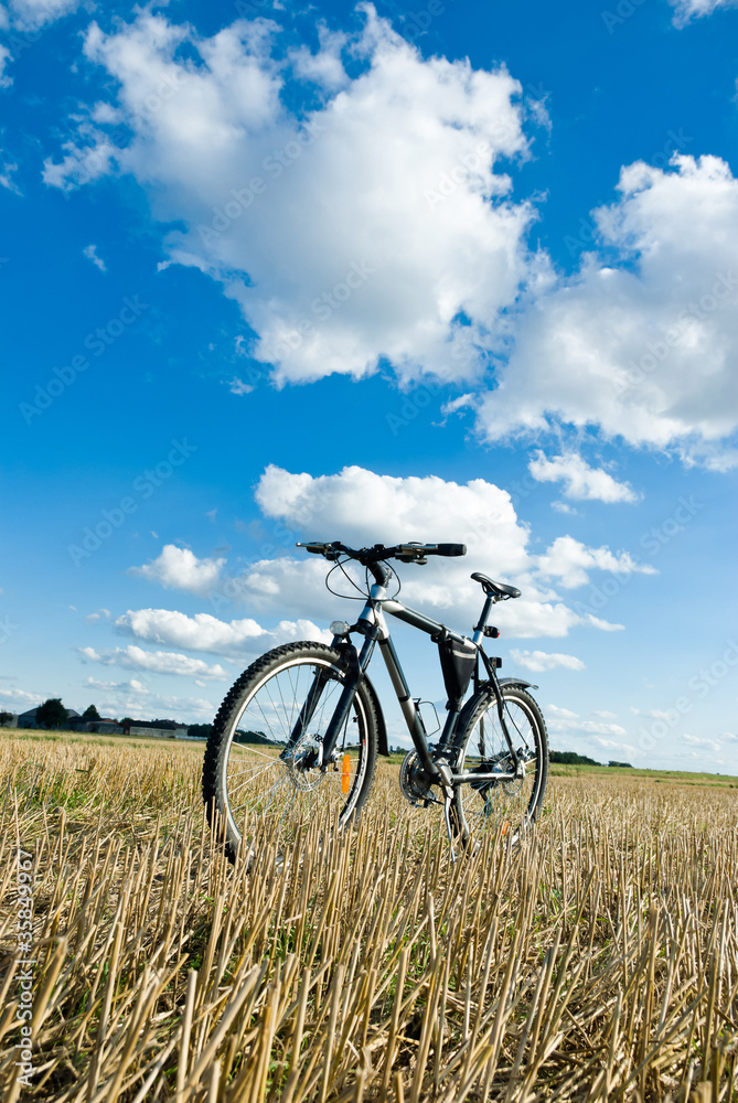 Naklejka premium bike