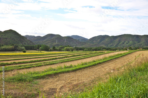 棚田風景