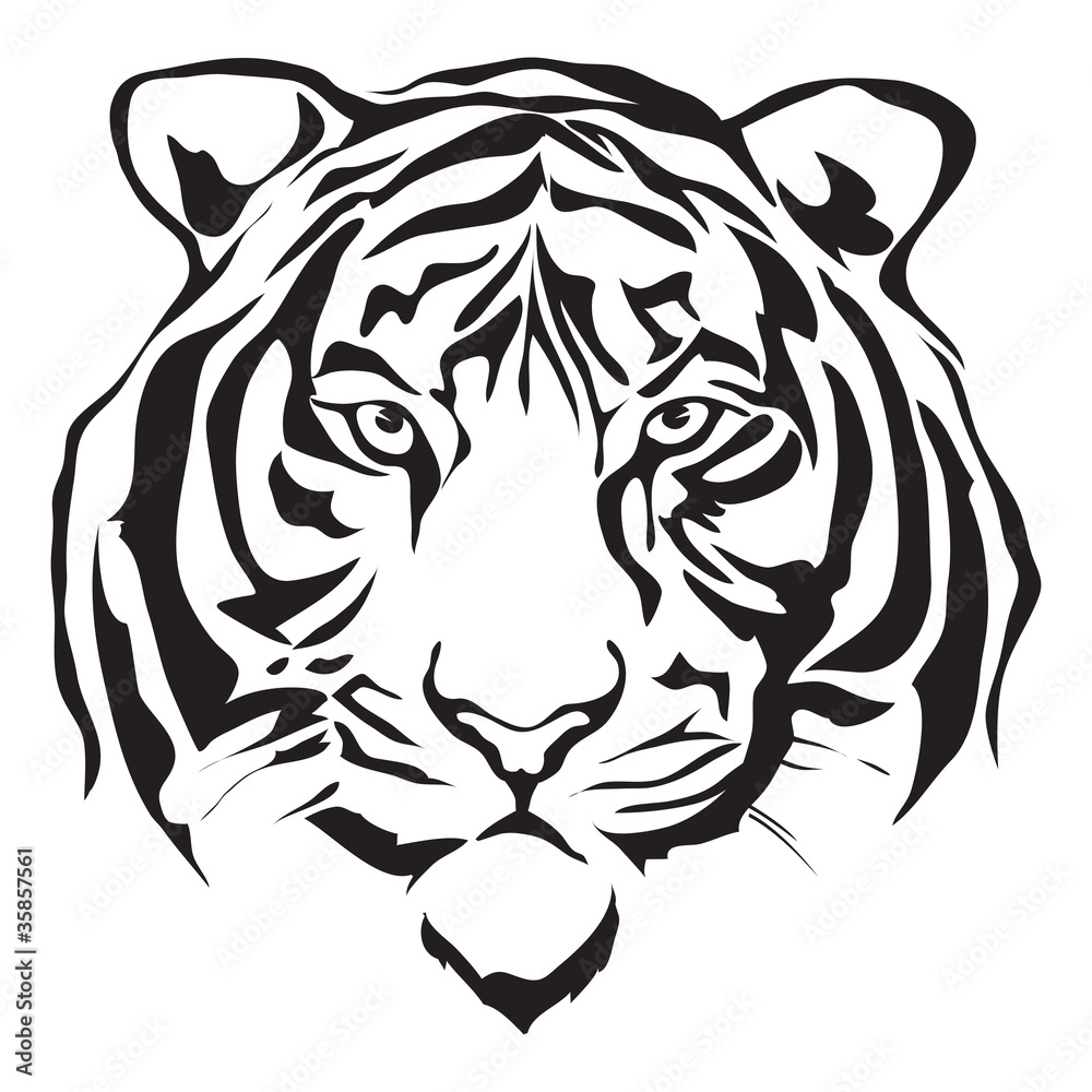 face tiger