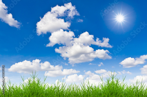 fresh spring green grass against blue sky