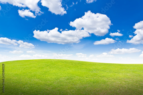 meadow against blue sky