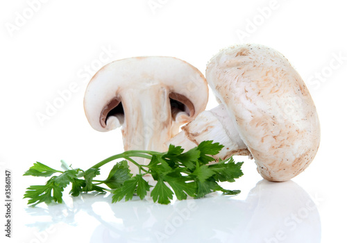 champignon mushroom and parsley
