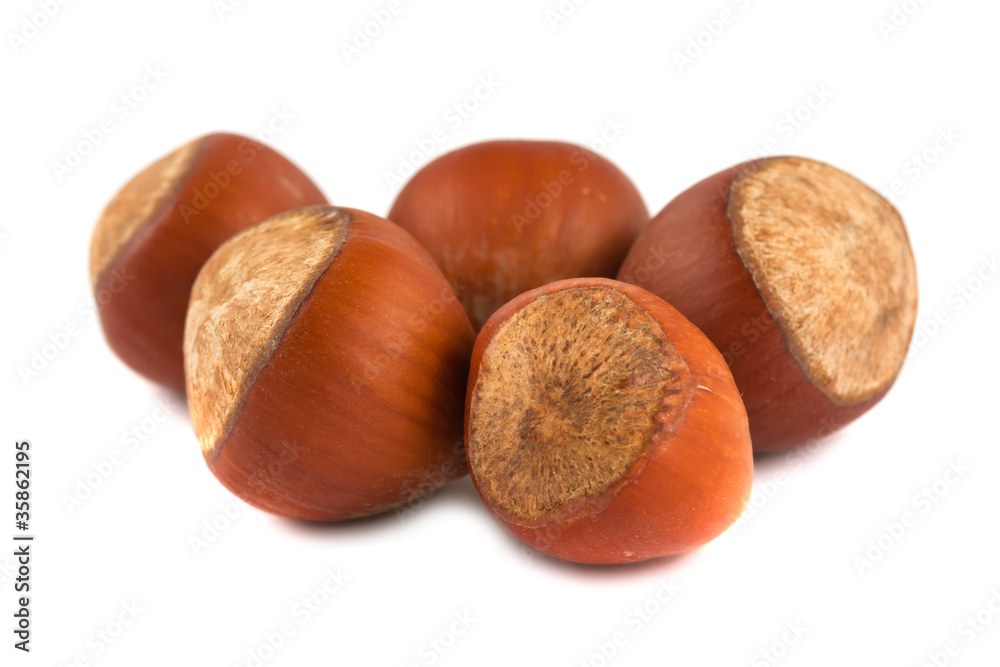 Five hazelnuts