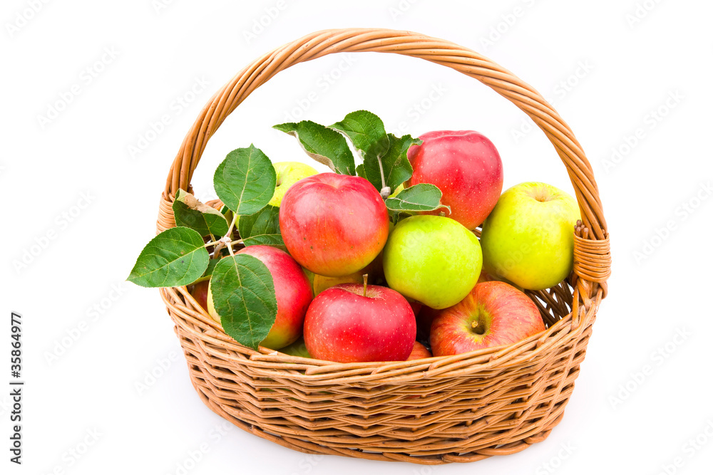 Apples in basket