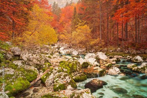 Golden autumn mountain forest with turquoise brook. photo