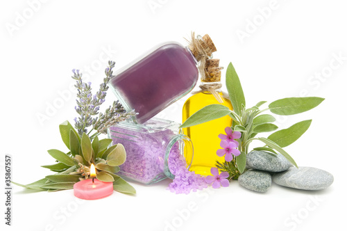 perfumes and aromatic herbs photo