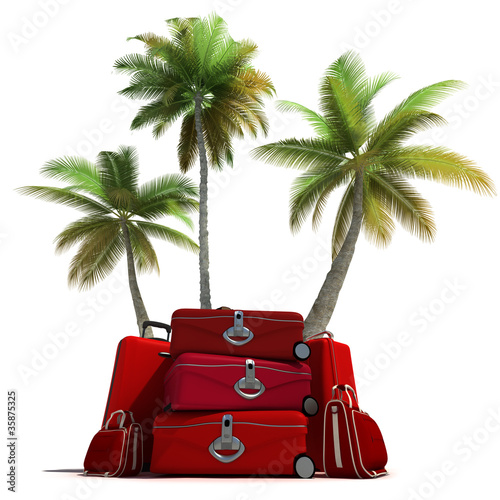 Tropical trip and red luggage
