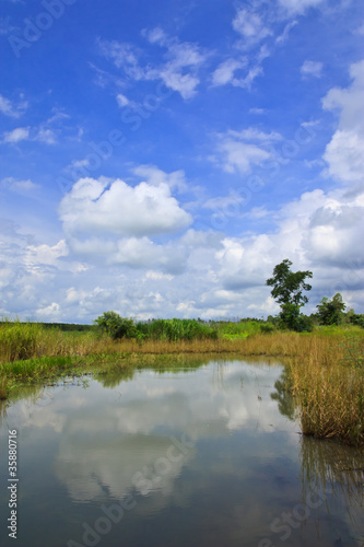 Fototapeta Naklejka Na Ścianę i Meble -  View of tropical country rural, Thailand