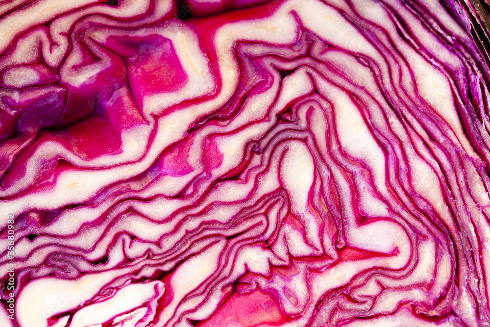 depth and texture of the beet, vegetables and vegetable depth and texture of the beet, vegetables and vegetable