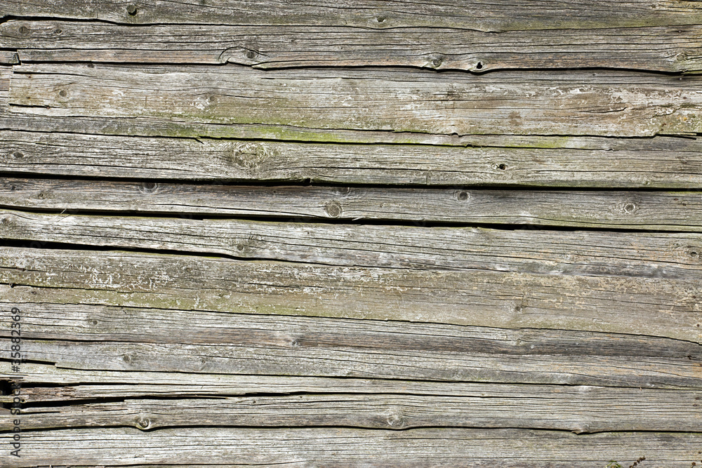Obraz premium Old weathered screen of boards
